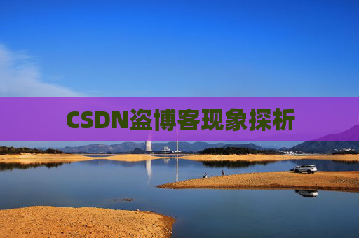 CSDN盗博客现象探析